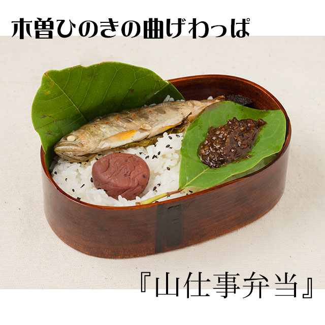 曲げわっぱのお弁当が美味しい理由と使い方ガイド